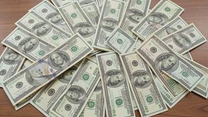 El precio del dólar sigue siendo repercutido por temas geopolíticos. | Magnific