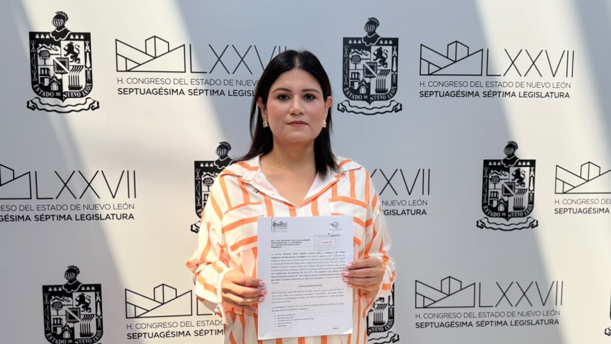 Diputada plantea garantizar una pensión alimenticia temporal mientras se resuelven los procesos de divorcio