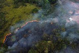 Esta práctica ilegal subraya que la industria agropecuaria sigue siendo la principal amenaza para la conservación del ecosistema.