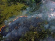 Esta práctica ilegal subraya que la industria agropecuaria sigue siendo la principal amenaza para la conservación del ecosistema.