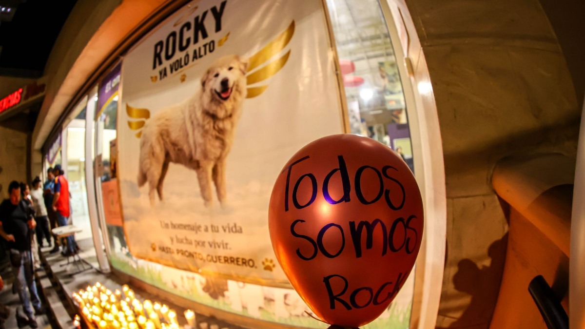 El trágico caso de Rocky en Saltillo desató una ola de indignación nacional que trascendió las redes sociales | Cuartoscuro/Alejandro Rodríguez