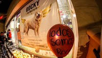 El trágico caso de Rocky en Saltillo desató una ola de indignación nacional que trascendió las redes sociales | Cuartoscuro/Alejandro Rodríguez