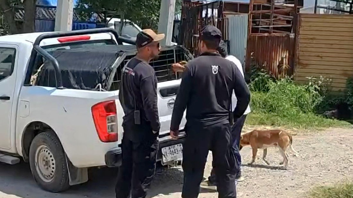 Las autoridades informaron que debido a la agresividad y antecedentes del perro, podría ser sacrificado