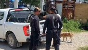 Las autoridades informaron que debido a la agresividad y antecedentes del perro, podría ser sacrificado