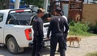 Las autoridades informaron que debido a la agresividad y antecedentes del perro, podría ser sacrificado