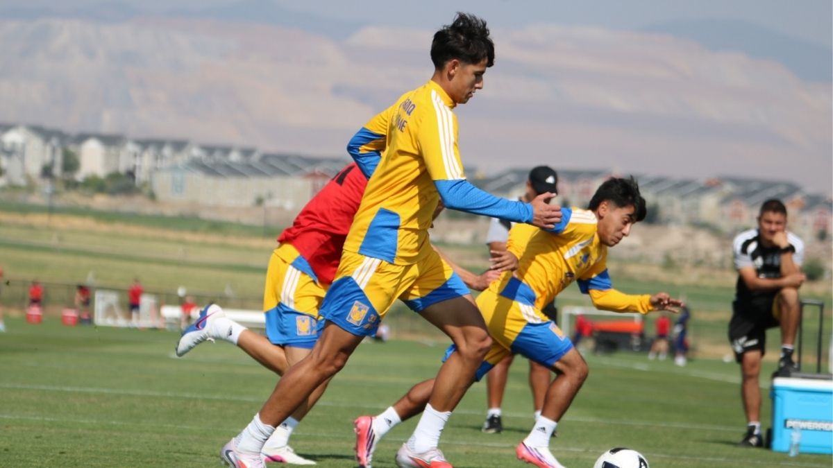 En un corto periodo, son varias las ocasiones en que Tigres sufre situaciones en sus vuelos.
