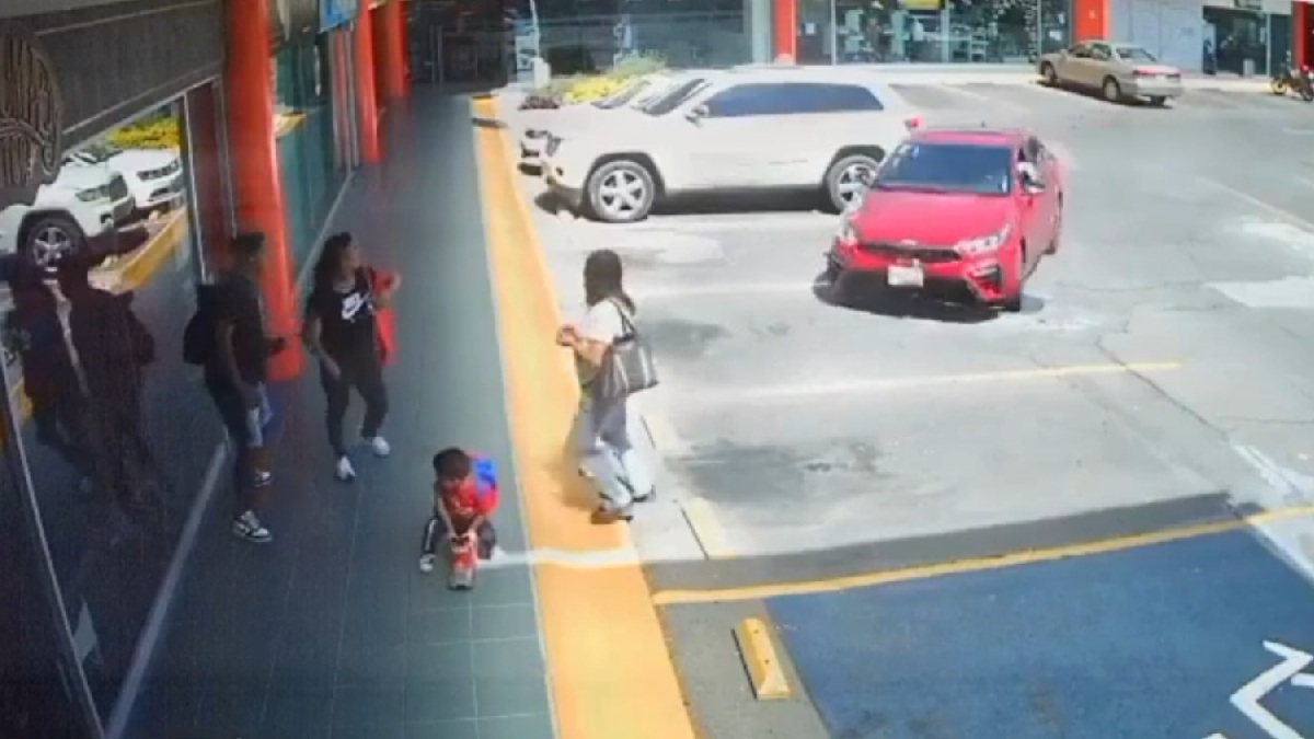 La rápida reacción de la familia permitió que se apartaran a tiempo