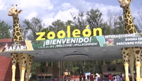 Más de mil animales han muerto en el Zoológico de León desde el 2015; reportan causas inusuales