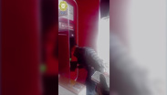 Policías resguardan y devuelven efectivo olvidado en cajero automático de Iztacalco