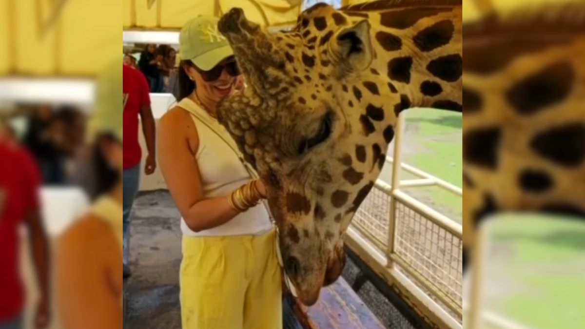 Una visita recreativa resultó en el diagnóstico posterior de la enfermad de Lyme para Paola. | Telediario