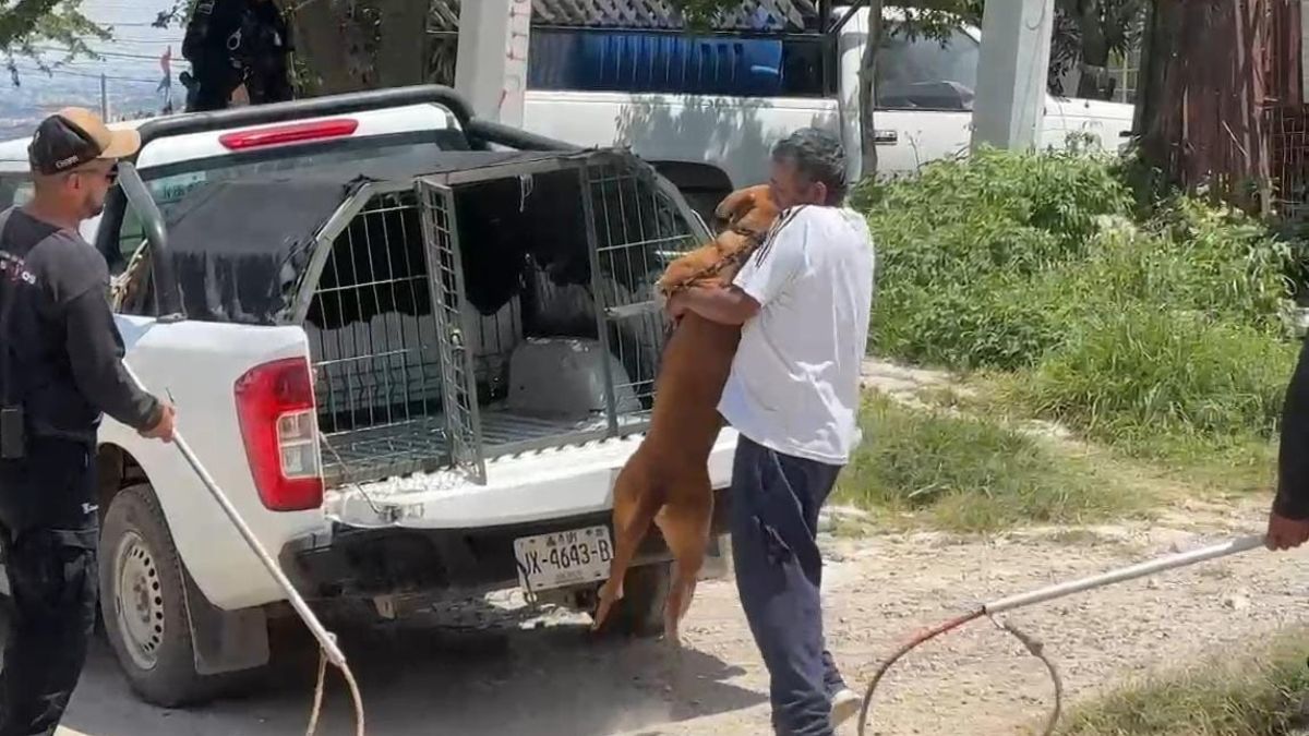 El caso de perro sigue en seguimiento y estará bajo supervisión sobre la actitud del animal