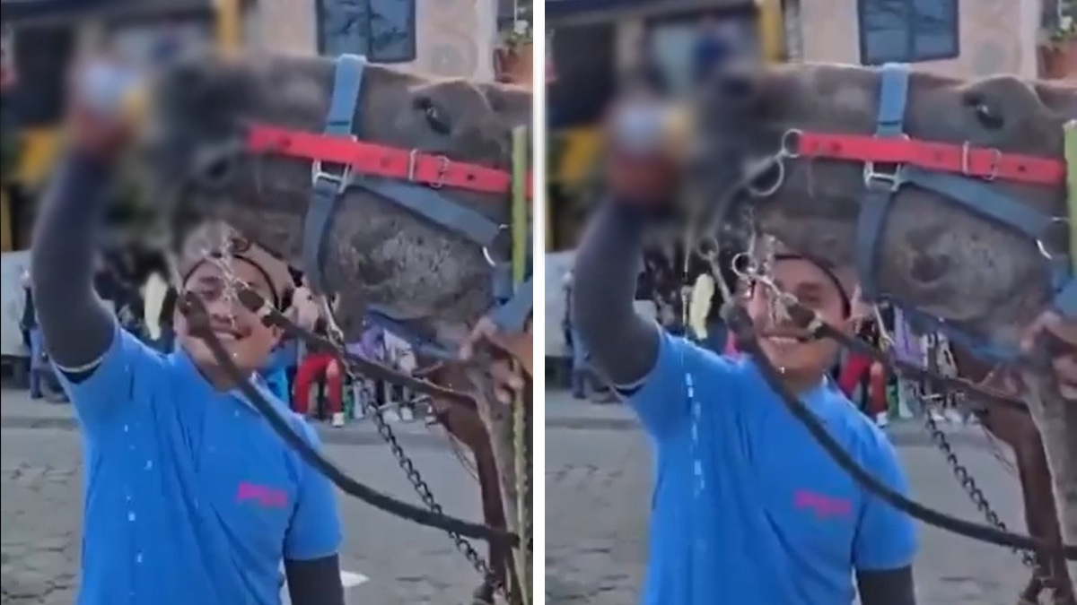 La Dirección de Bienestar Animal presentó una denuncia por maltrato animal por este hecho ocurrido en Huixcolotla