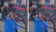 La Dirección de Bienestar Animal presentó una denuncia por maltrato animal por este hecho ocurrido en Huixcolotla