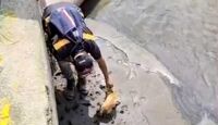Supervisaban un canal en Tlajomulco cuando encontraron a un perro atrapado | Protección Civil Tlajomulco