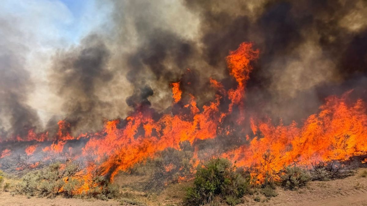 Más de 600 bomberos combaten el fuego iniciado por un rayo en Fishlake, agravado por la falta récord de nieve y la sequía extrema.