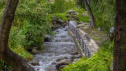 Se desborda el Río Magdalena en Ciudad de México por lluvias intensas. /  X @SGIRPC_CDMX