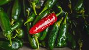La FDA ha recomendado no consumir ni vender chile jalapeño procedente de Sinaloa | Pexels