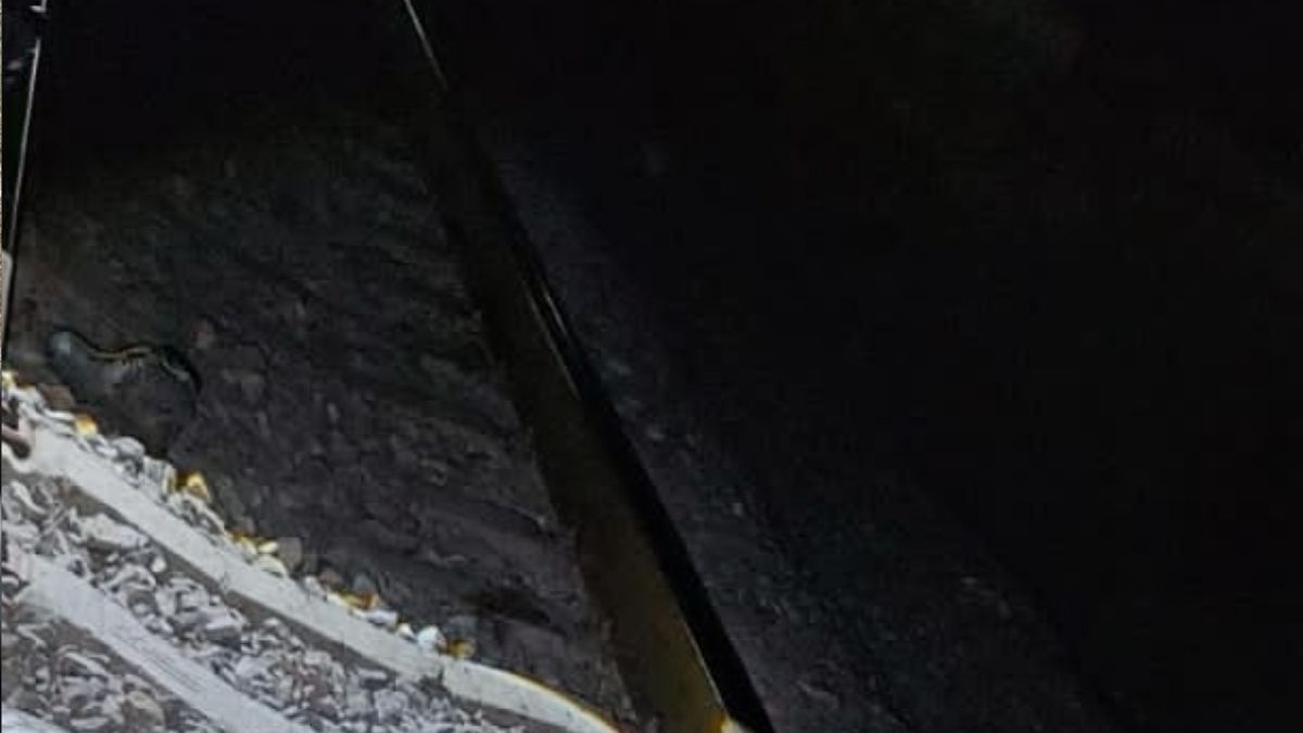 El trágico accidente ocurrió a la altura del kilómetro 840+100 de las vías férreas en el municipio de San Pedro, Coahuila.