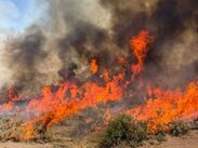 Más de 600 bomberos combaten el fuego iniciado por un rayo en Fishlake, agravado por la falta récord de nieve y la sequía extrema.