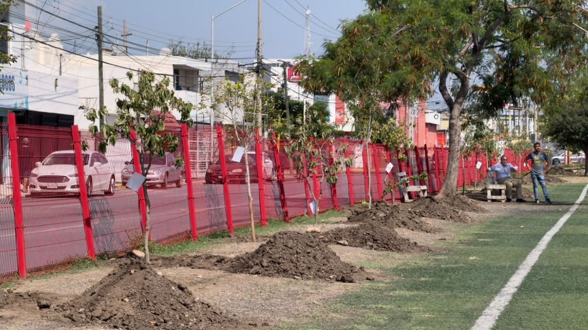 Familias de Escobedo se suman a la reforestación de espacios públicos