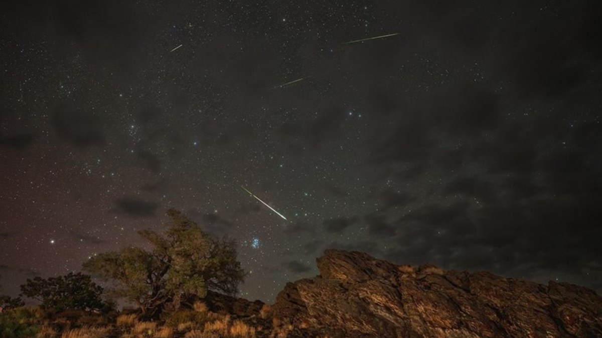 La Lluvia de Estrellas Perseidas se observa mejor en el hemisferio norte/ NASA