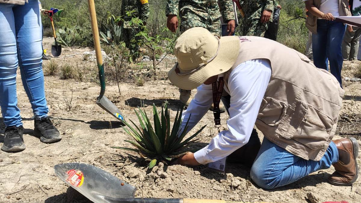 El mandatario estatal encabezó la siembra de flora endémica junto a familias y corporaciones de seguridad. | Israel Santacruz
