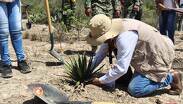 El mandatario estatal encabezó la siembra de flora endémica junto a familias y corporaciones de seguridad. | Israel Santacruz