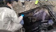 Muere hombre atrapado en coladera del Mercado de La Merced CdMx. TD Fin de Semana Matutino CdMx, 08 de agosto de 2026