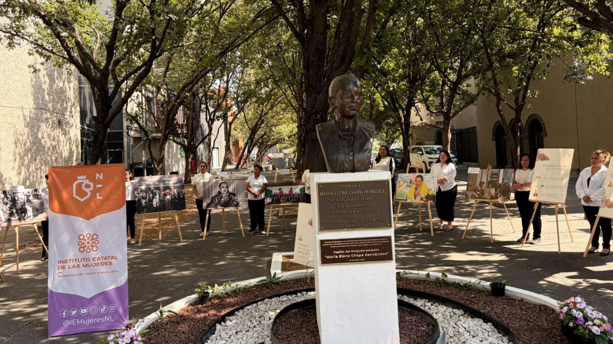 María Elena Chapa: recuerdan a cinco años su lucha por los derechos de las mujeres