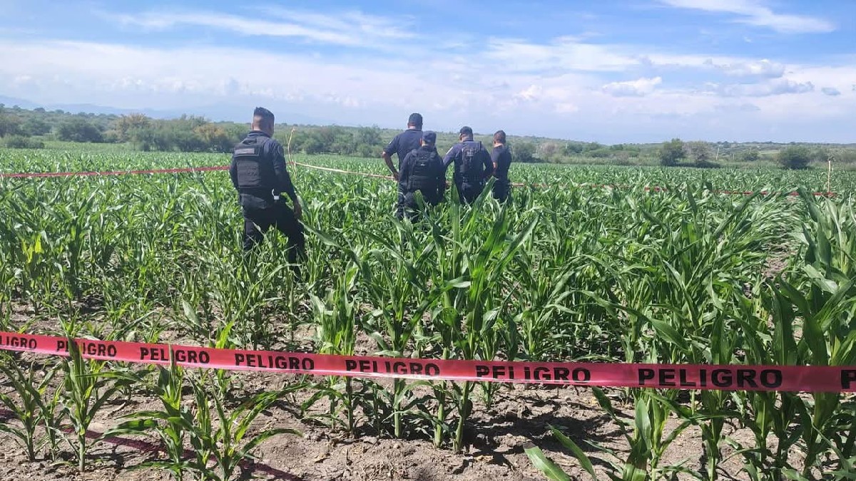 El paracaidista aterrizó en una zona de cultivo de Morelos | Cortesía