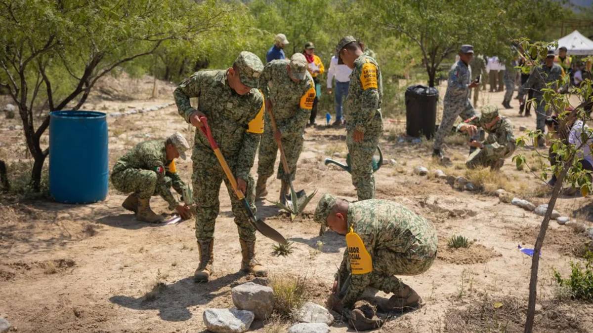 Uno de cada cinco habitantes considera la falta de áreas verdes como el principal reto de desarrollo urbano | Gobierno de Nuevo León
