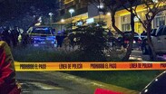 La zona fue acordonada por la Policía de Zapopan, Policía de Jalisco y el Ejército Mexicano