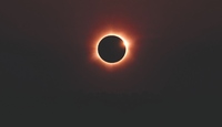 Durante un eclipse de Sol el comportamiento de los animales cambia/ Pexels