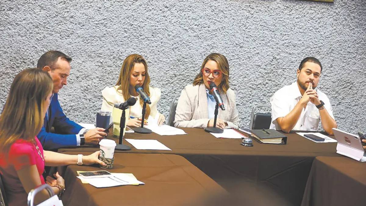 El órgano no cuestionó un tema legislativo