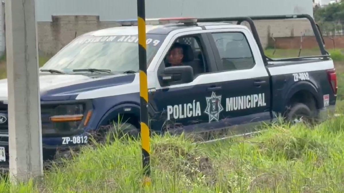 El hallazgo sucedió en el establecimiento cercano al cruce de las calles Hilo Blanco y La Palma en Zapopan