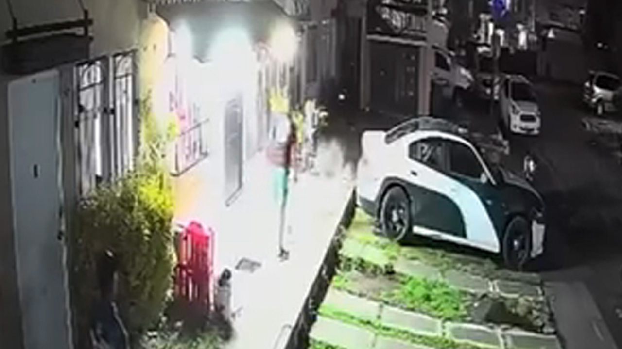 Hombre mata a balazos a balazos a perro en Tecámac; vecinos lo encontraron sin vida