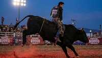 Jinetes y caballos protagonizarán una jornada cargada de adrenalina en la arena. \ Imagen temática generada con IA Gemini