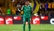 Nahuel Guzmán ha sido expulsado en 7 ocasiones desde que llegó a Tigres en 2014 / Jorge López