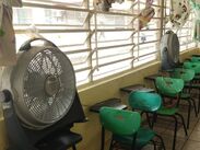Tres de las niñas sobrevivieron gracias a que fueron trasladadas de urgencia a un hospital y se les administró el antídoto a tiempo.