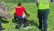 Tras la caída, el menor quedó inconsciente durante algunos momentos.
