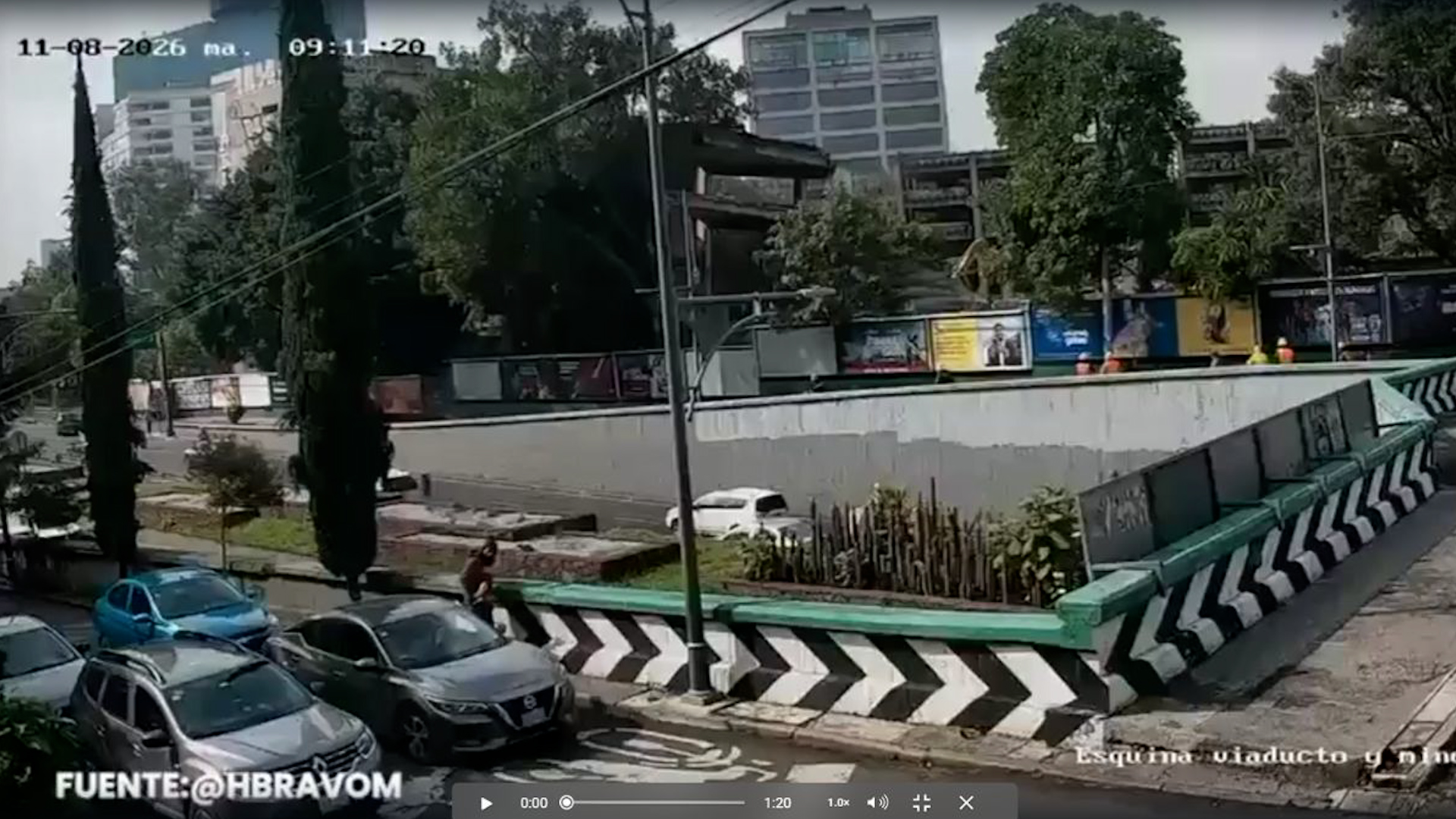 Árbol cae en Viaducto tras derrumbe en la Escandón: conductor frena a tiempo y auxilian a motociclista