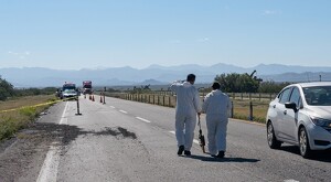 En cuanto al camión de transporte involucrado en este lamentable accidente no se reportan lesionados.