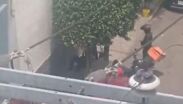 Captan supuesta agresión de policías de Guadalajara en detención | Captura de pantalla Facebook: Luis Román
