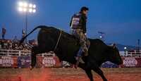Jinetes y caballos protagonizarán una jornada cargada de adrenalina en la arena. \ Imagen temática generada con IA Gemini