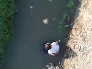 Tras ser sacados del canal, una unidad de emergencia les brindó atención inmediata para valorar las lesiones provocadas por las picaduras.