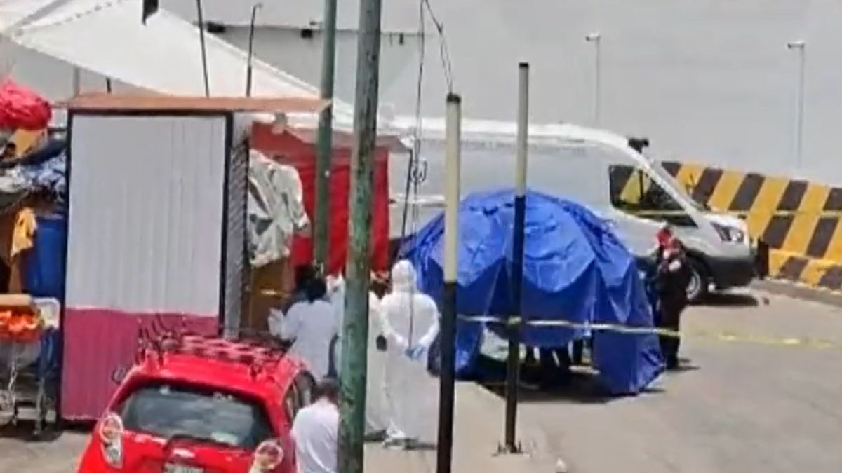 Un hombre murió en el paradero de Indios Verdes, CdMx; presuntamente lo mordió un perro. | Telediario
