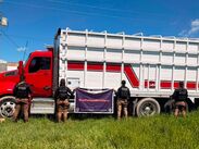 Policía Estatal de Caminos recupera vehículos de carga con reporte de robo en San Julián, Jalisco. | Secretaría de Seguridad Jalisco vía Facebook
