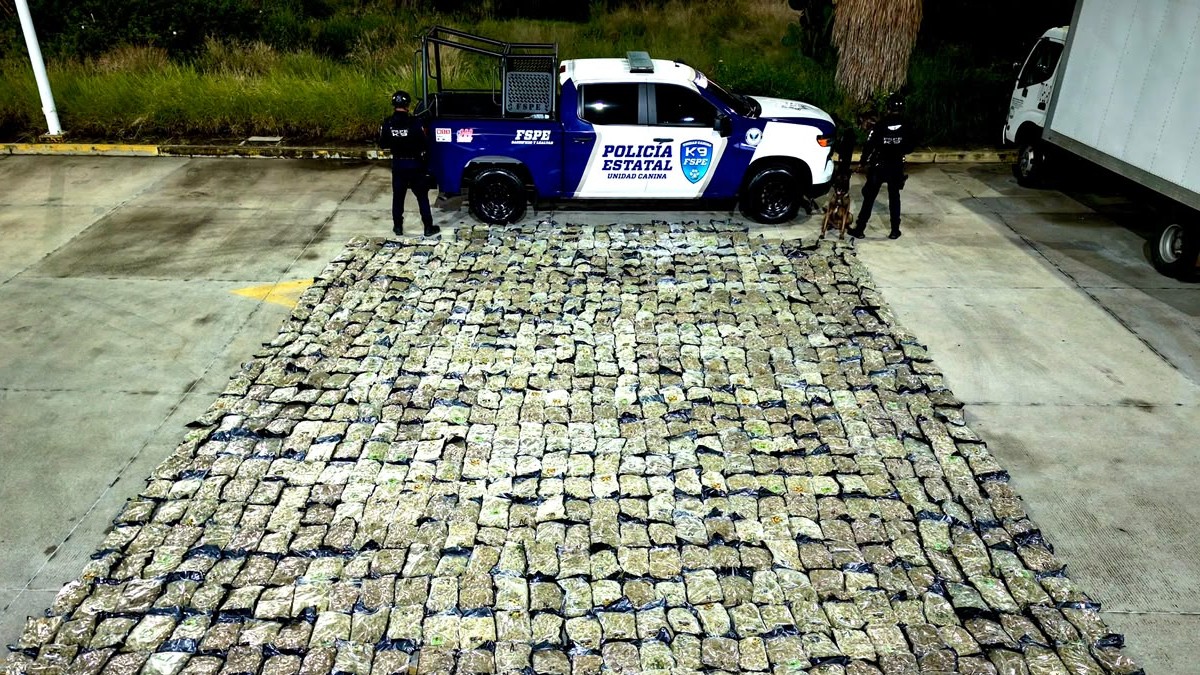 El pesaje preliminar de la sustancia arrojó aproximadamente 506 kilogramos con 376 gramos.