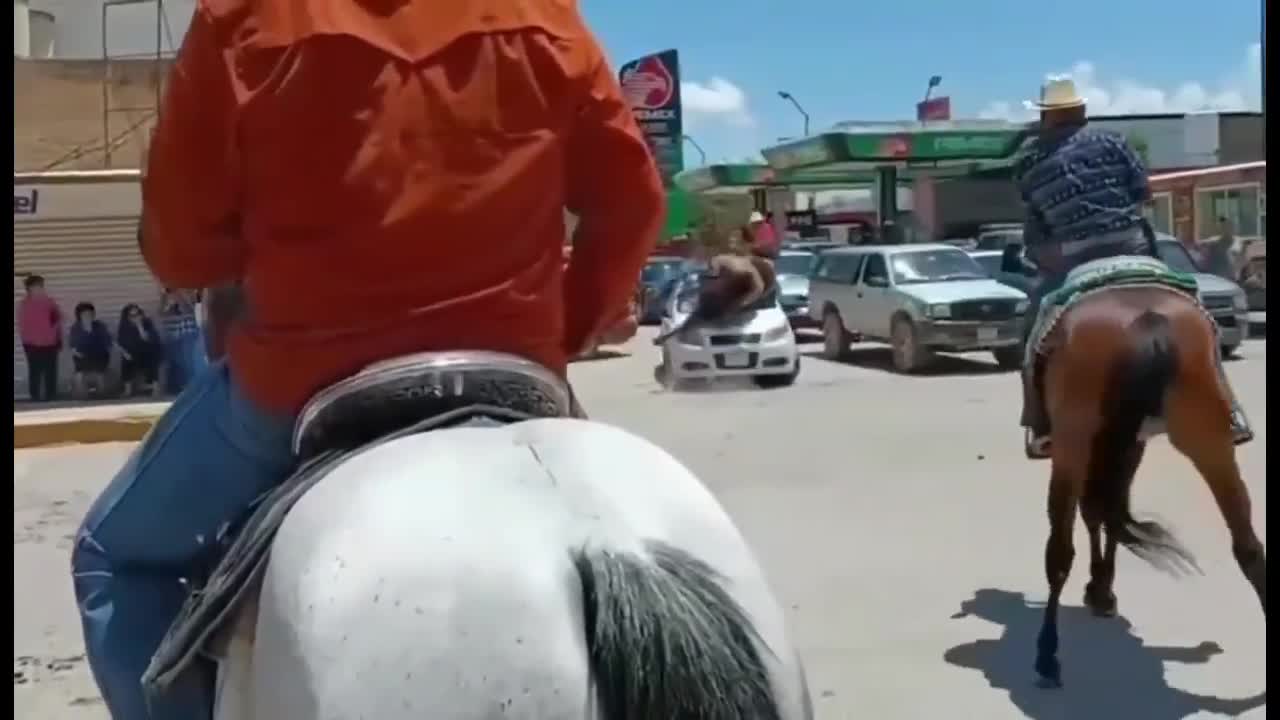 Caballo desbocado se impacta contra auto en Durango