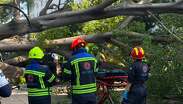 Cuerpos de rescate se movilizaron hasta la zona del incidente. | Protección Civil del Municipio de Querétaro